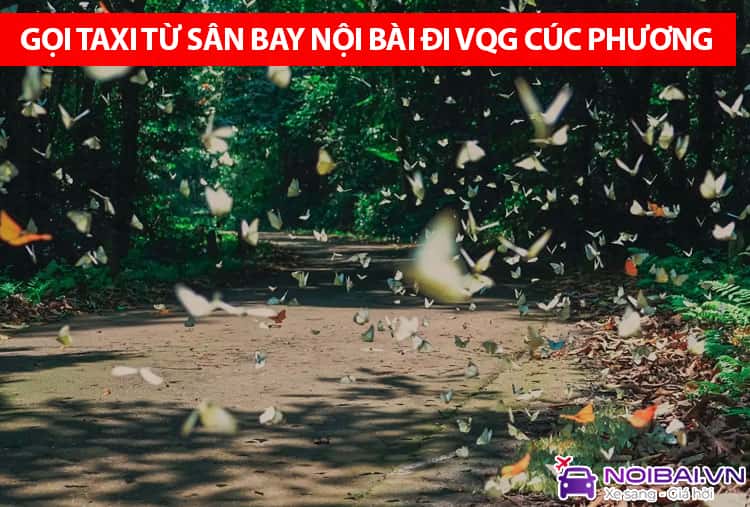 Hướng dẫn gọi taxi từ sân bay Nội Bài đi Vườn quốc gia Cúc Phương
