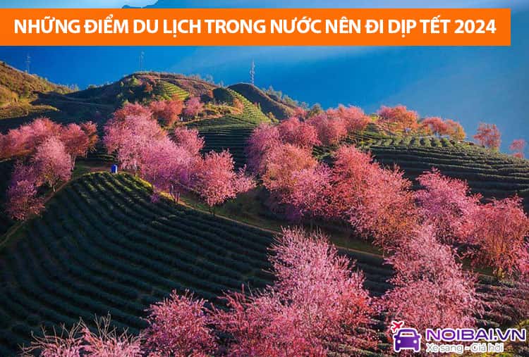 Những điểm du lịch trong nước nên đi dịp Tết Nguyên đán