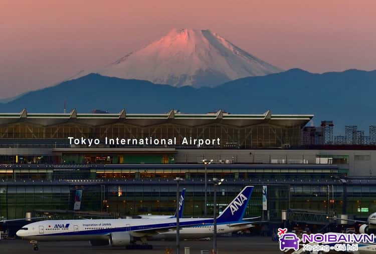 Sân bay quốc tế Tokyo (Haneda Airport)